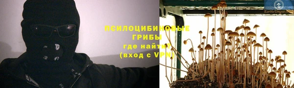 2c-b Кулебаки