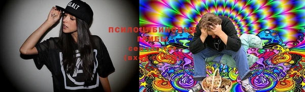 2c-b Кулебаки