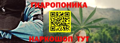 прущие грибы Заволжье